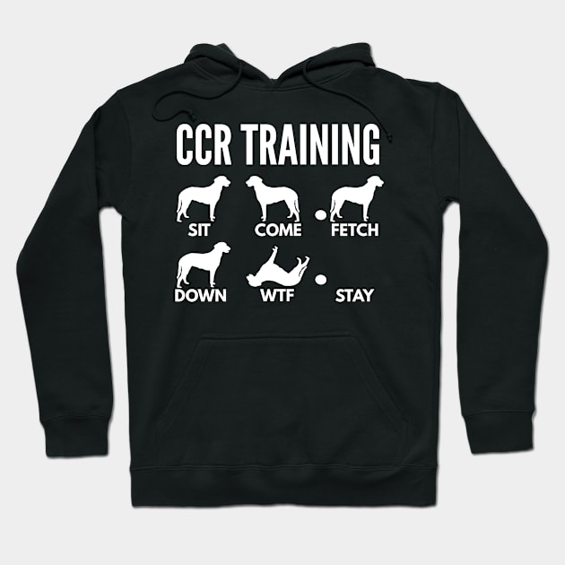 CCR Training Curly Coated Retriever Tricks Slim Hoodie by DoggyStyles